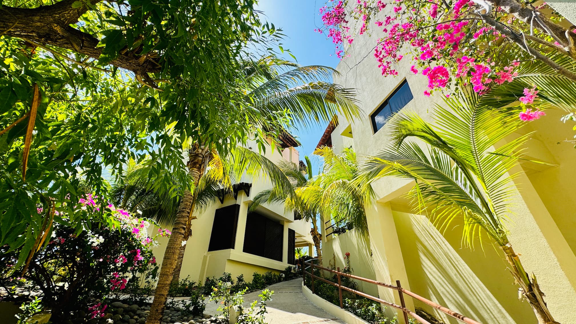 Coco Sunset Hills – Explore beautiful tropical paths in Coco Sunset Hills