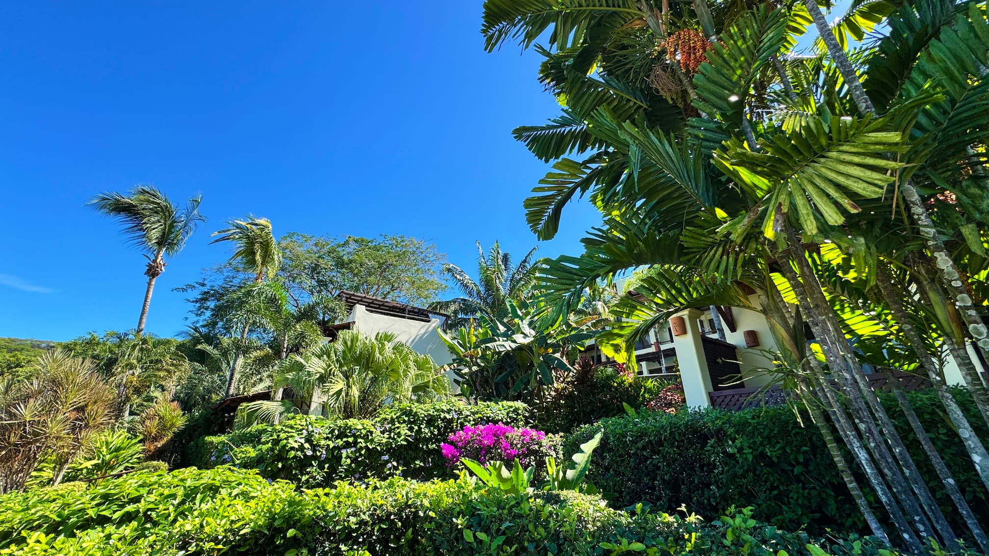 Coco Sunset Hills - a view from the northern parking lot