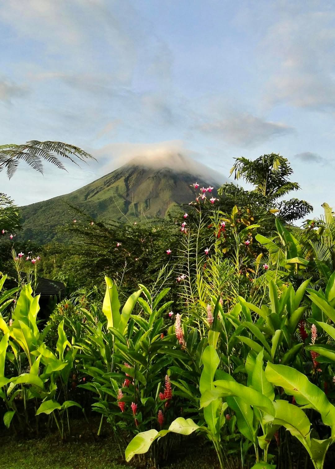 Coco Wildlife - Arenal volcano (3-4 hours from Coco)