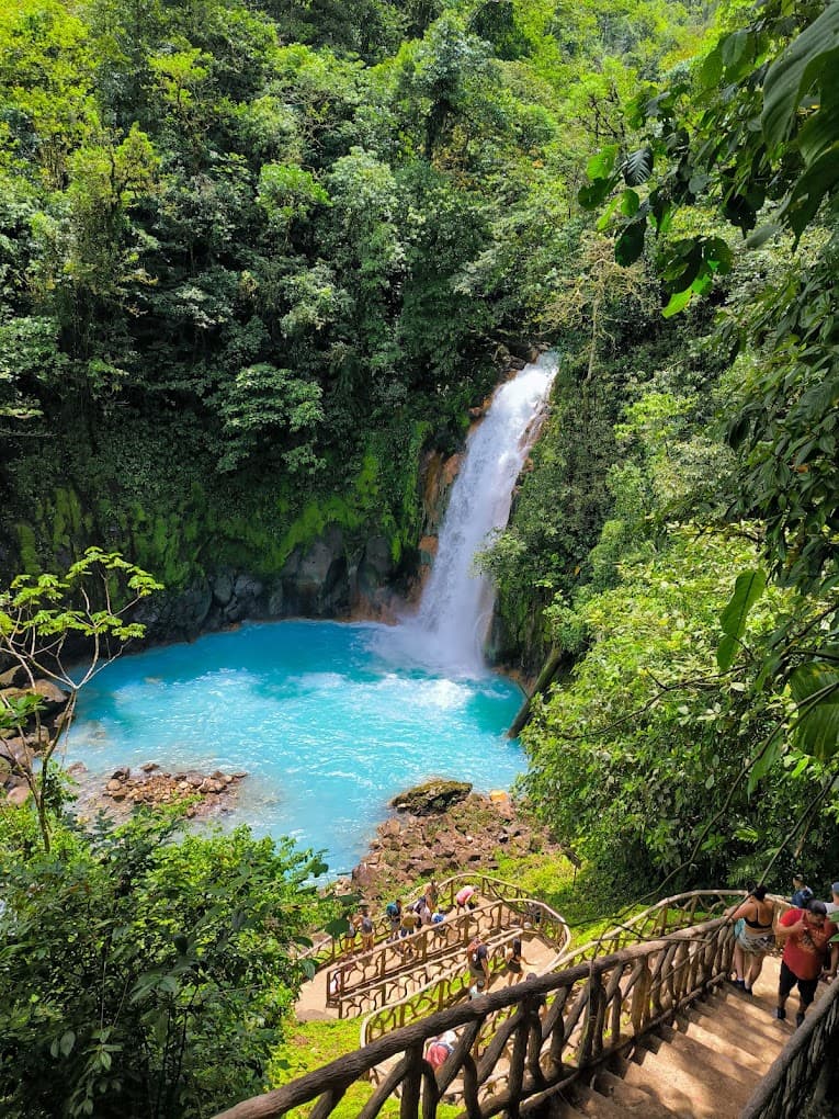 Coco Wildlife - Rio Celeste waterfall (2 hours from Coco)